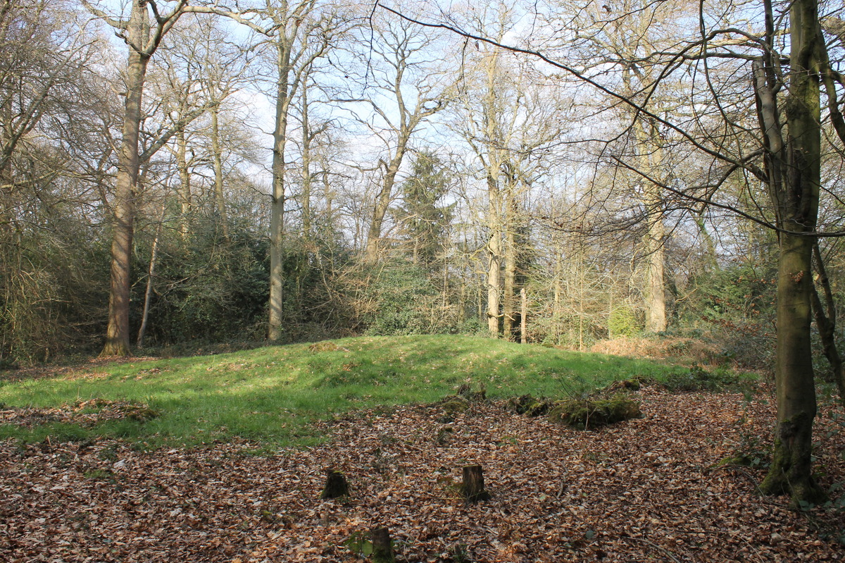 23 Feb -  bronze age barrow, for the record